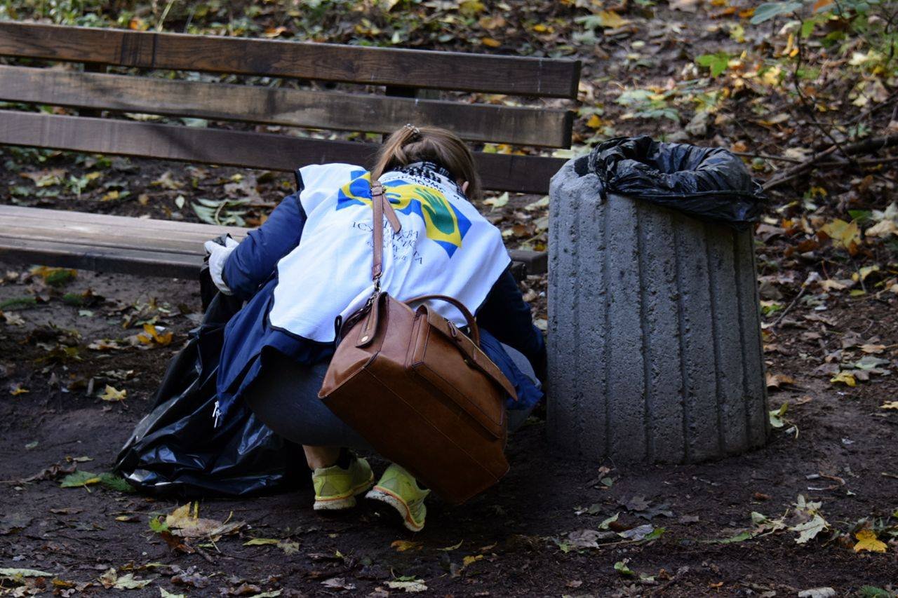 Лес убирали очень тщательно