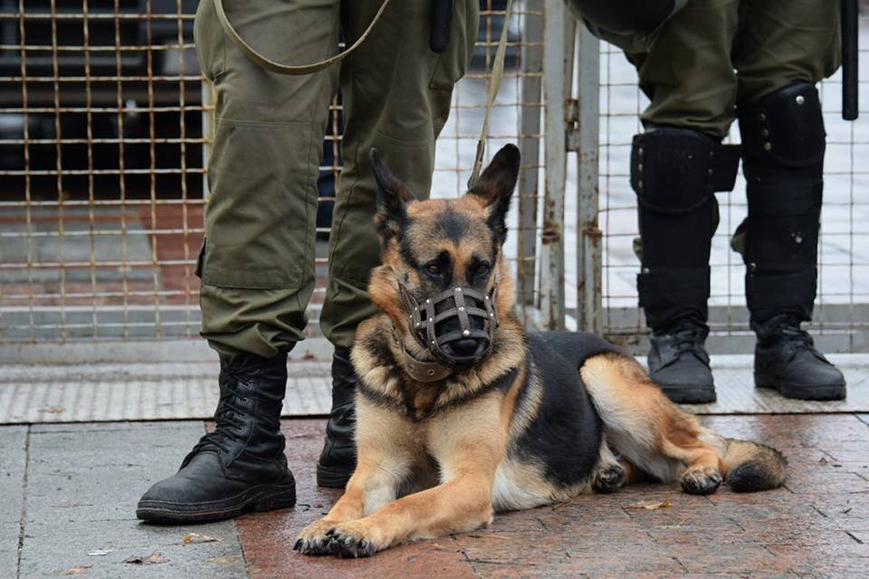 Младшие охранники спокойствия