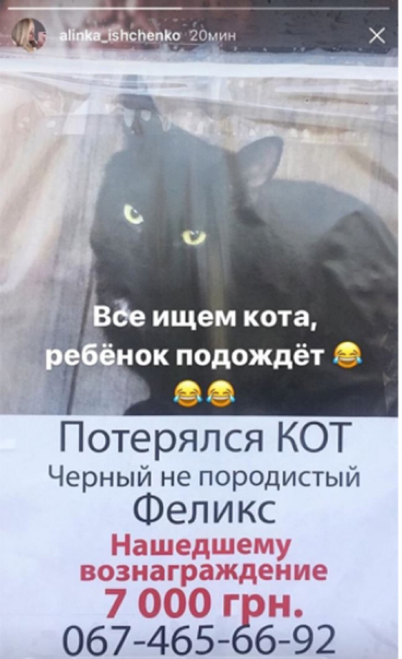В Instagram следователь Оболонского управления полиции Алина Ищенко предложила Киевлянам искать кота вместо двухмесячного младенца В Instagram следователь Оболонского управления полиции Алина Ищенко предложила Киевлянам искать кота вместо двухмесячного младенца