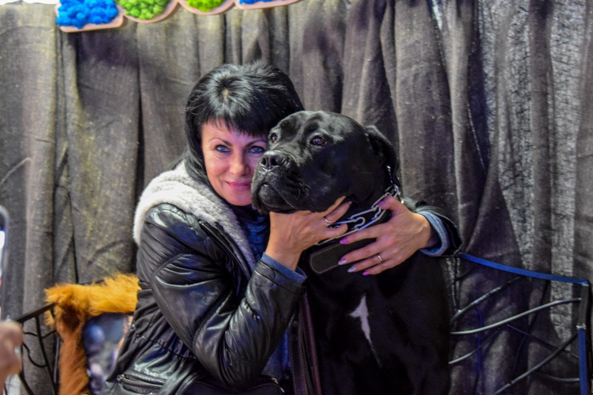 Говорят, хозяева и животные похожи друг на друга