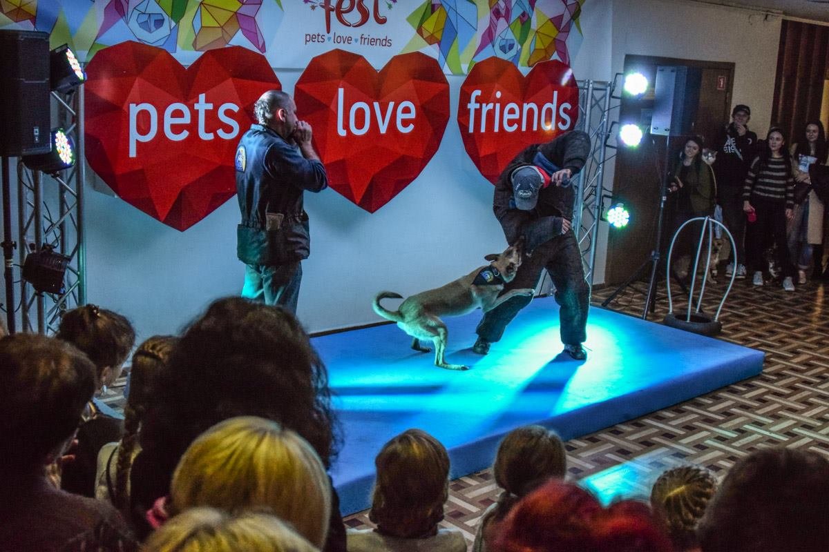 Показательное выступление 