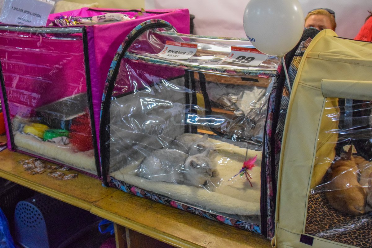 Можно и подремать