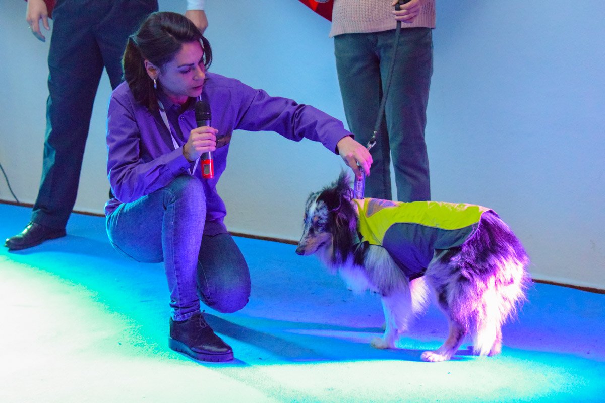 Патриотичный костюм 