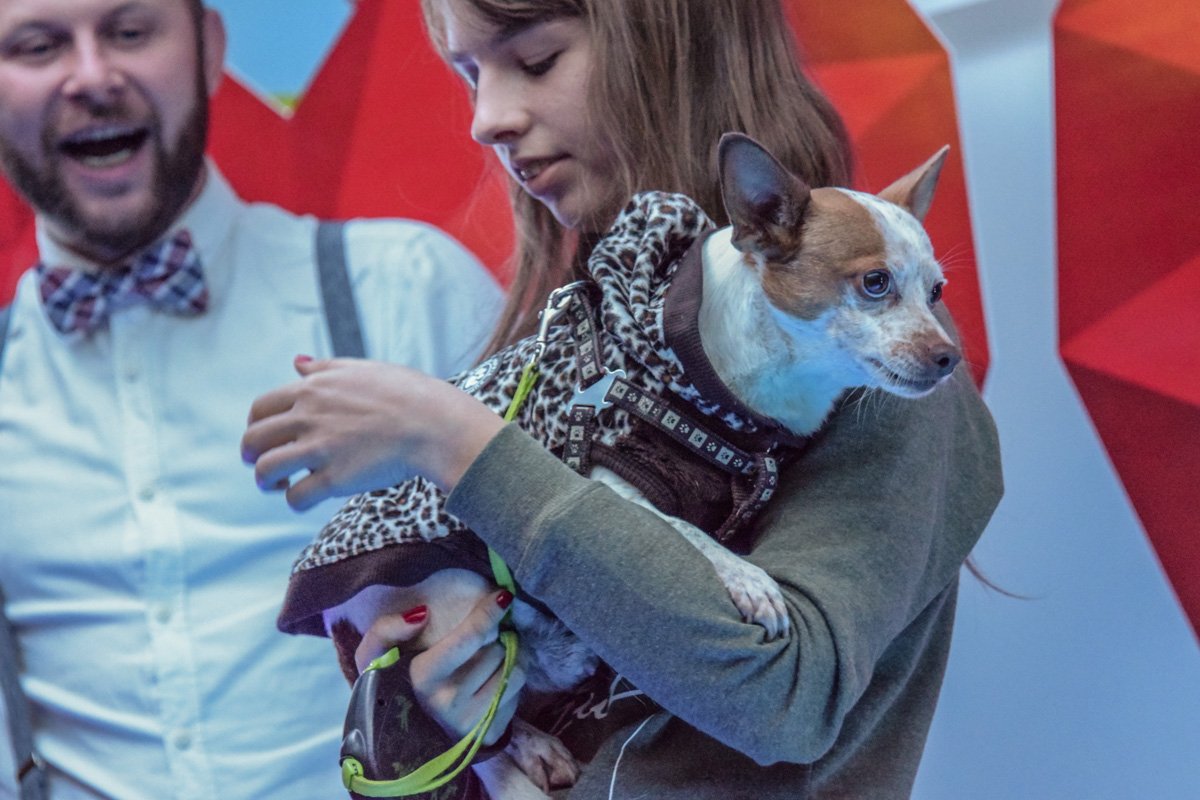 Дама с собачкой 