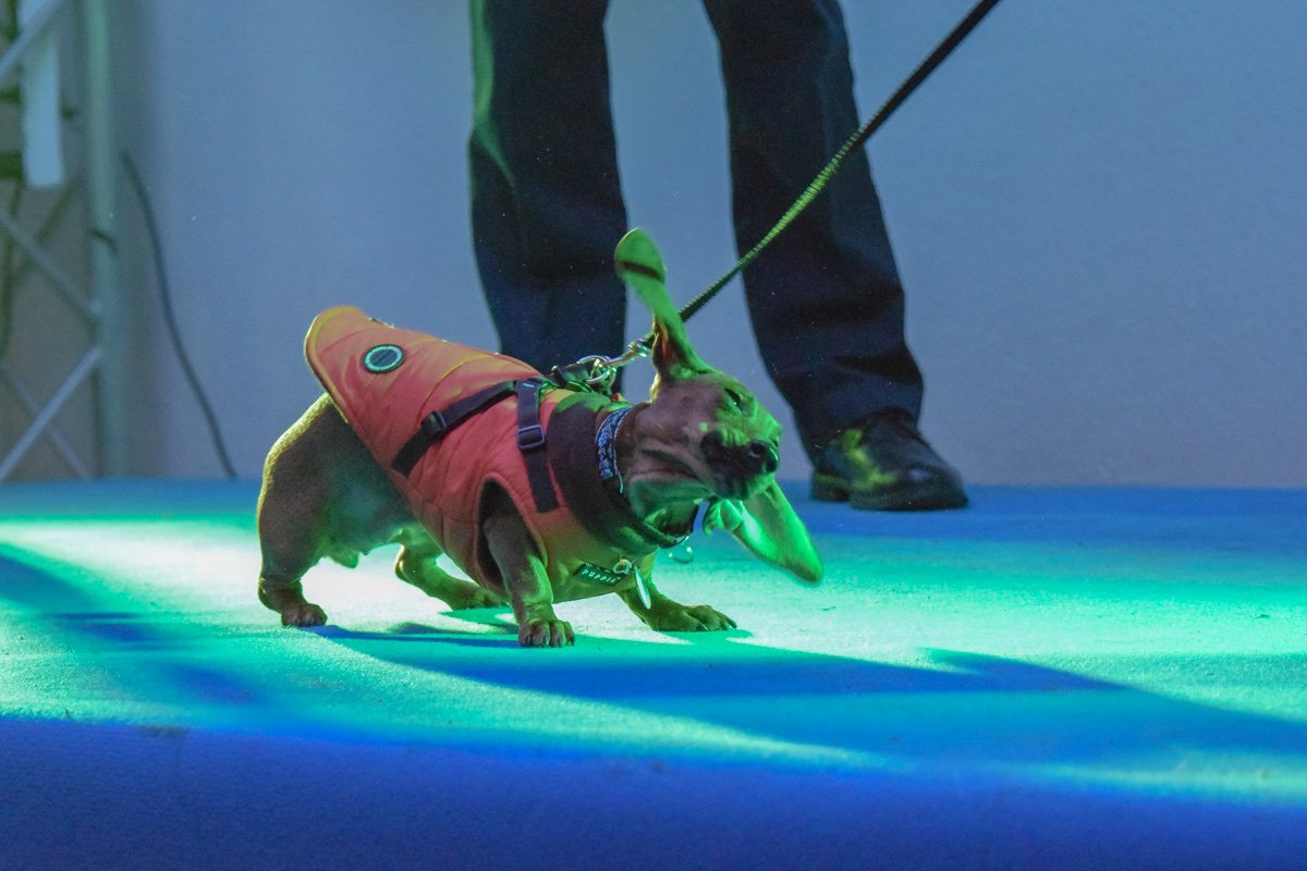 Фото: Витольд Явдощук 