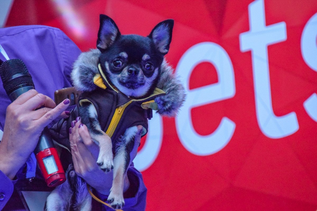 Фото: Витольд Явдощук