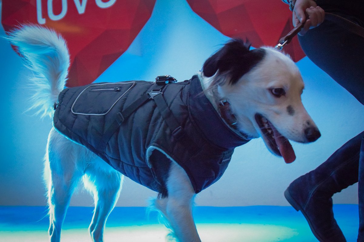 В такой жилетке точно не страшны холода 