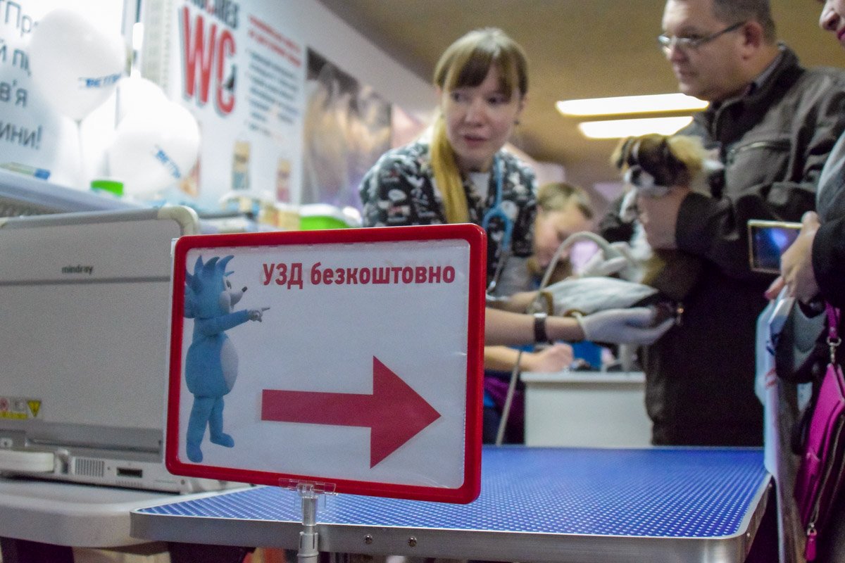 Гостям предлагали бесплатные медицинские услуги