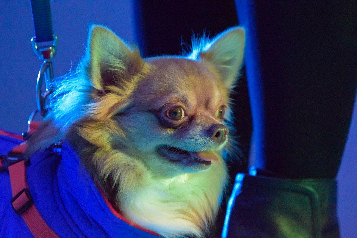 Фото: Витольд Явдощук