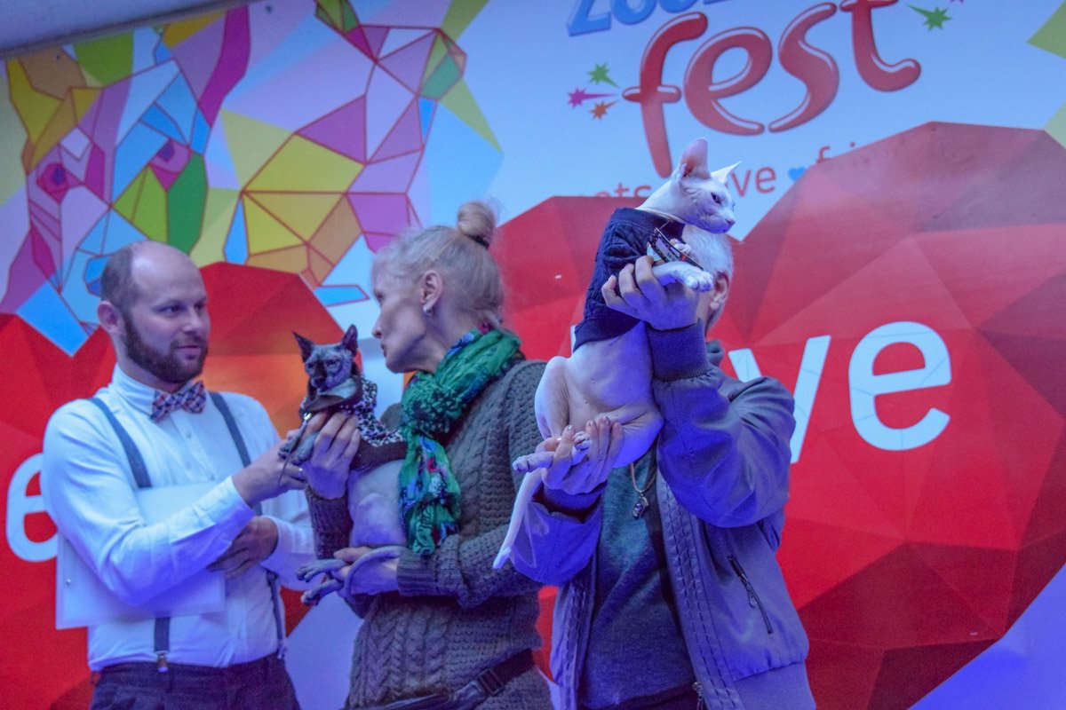 Этим малышкам обязательно нужна одежда