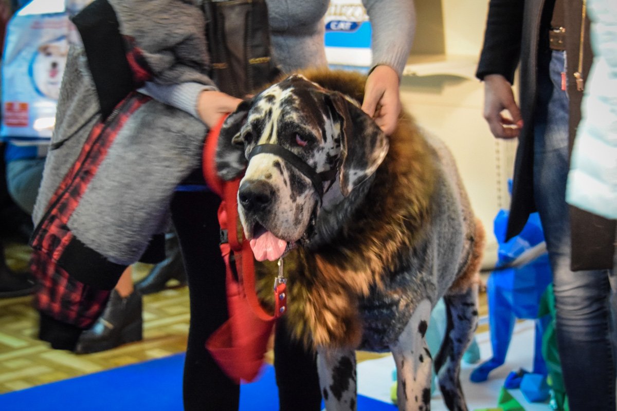 Под конец фестиваля участники немного устали от развлечений