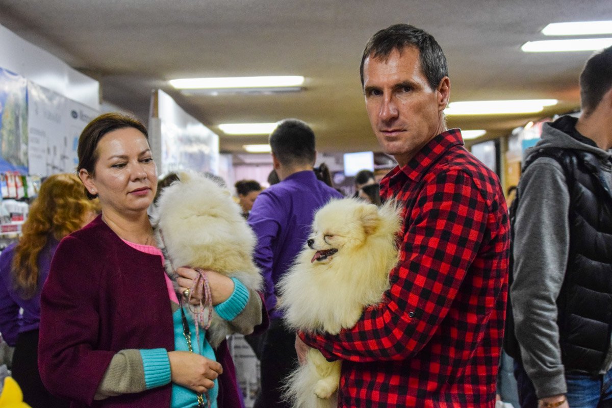 На руках у хозяина можно и вздремнуть