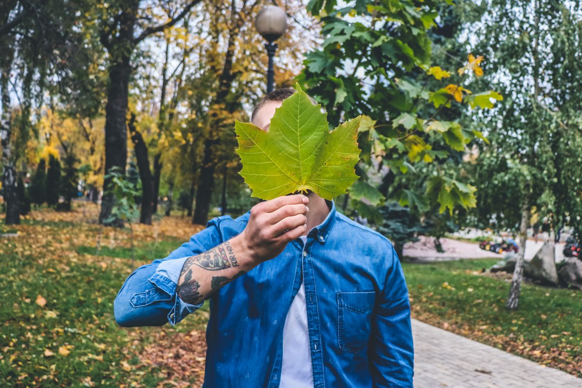 Правило №3 - срывайте зеленые листья, они подойдут для контраста