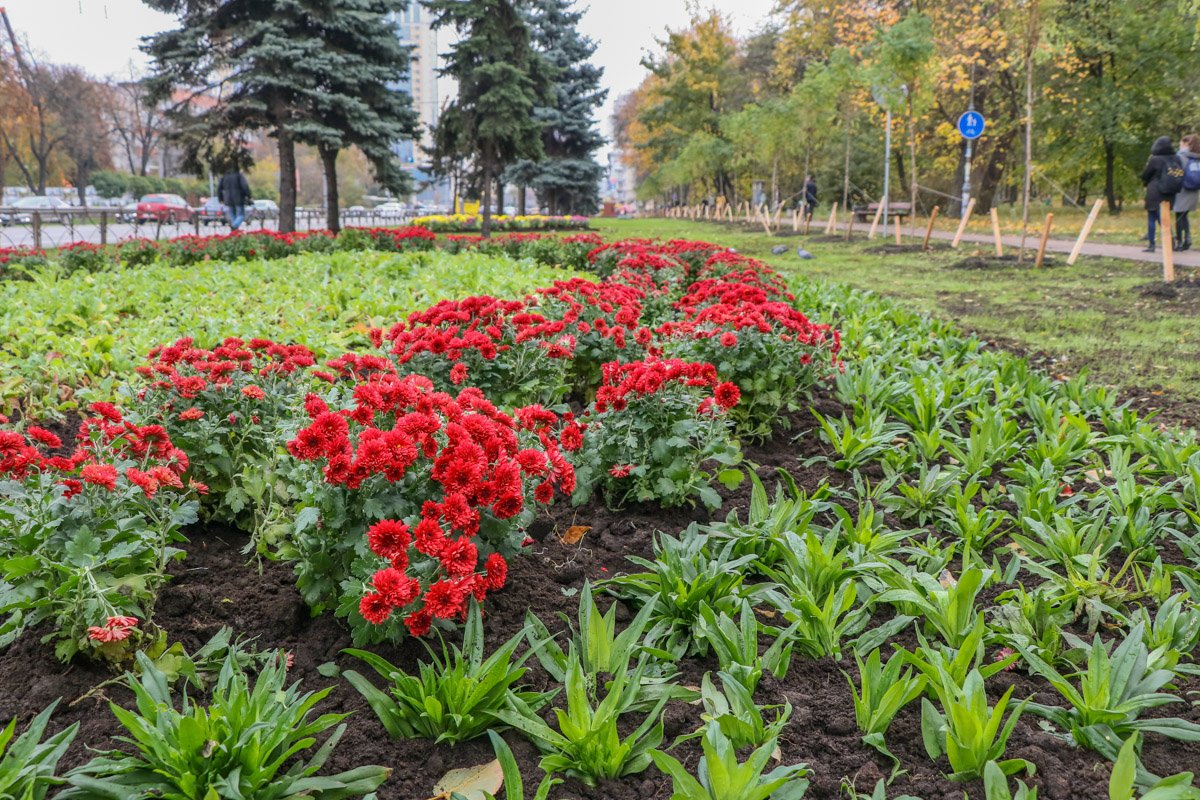 Чуть дальше на аллее можно увидеть цветочные композиции