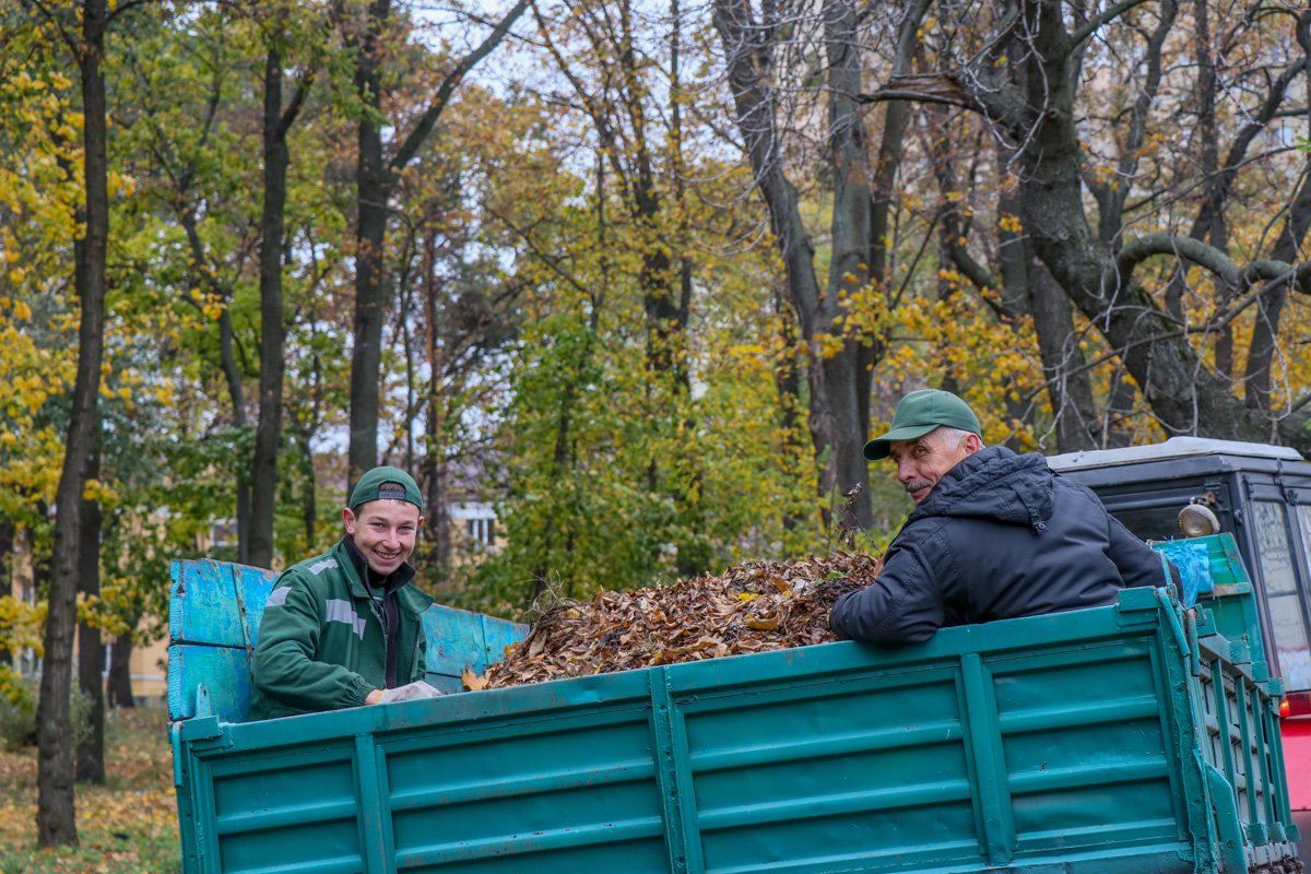 Коммунальщики наблюдают за высадкой деревьев