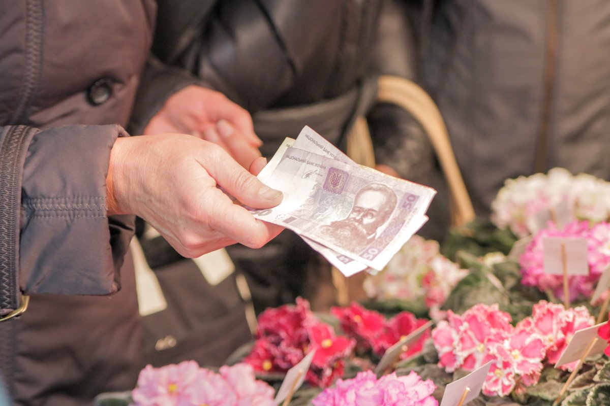 Растения можно приобрести за 50-100 гривен Растения можно приобрести за 50-100 гривен