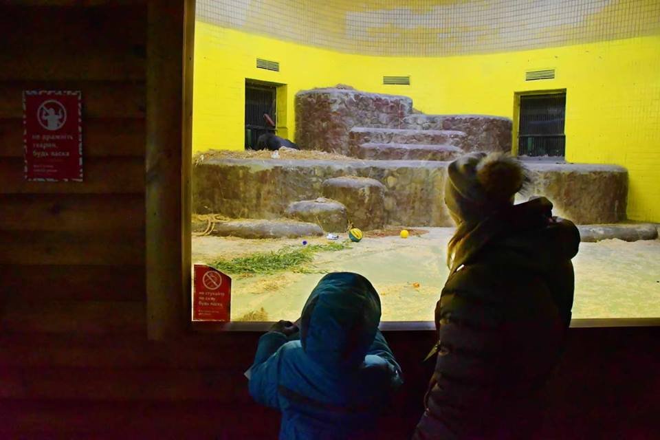 Каменный постамент, на котором спит горилла