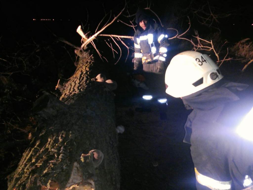 Погибшую смогли найти при помощи кинологов с собаками Погибшую смогли найти при помощи кинологов с собаками