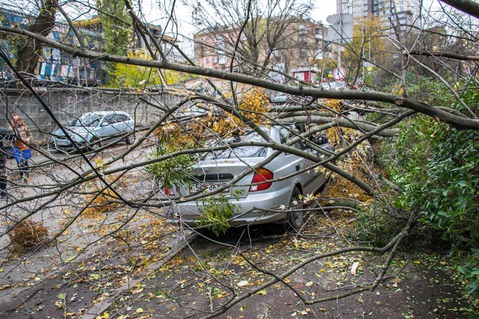 В результате происшествия, никто не пострадал