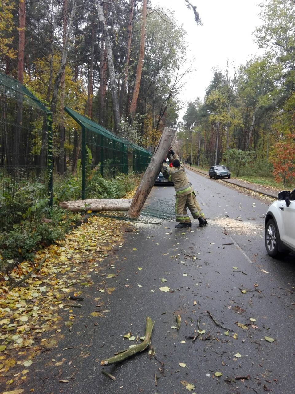 На Святошино дерево разрушило забо