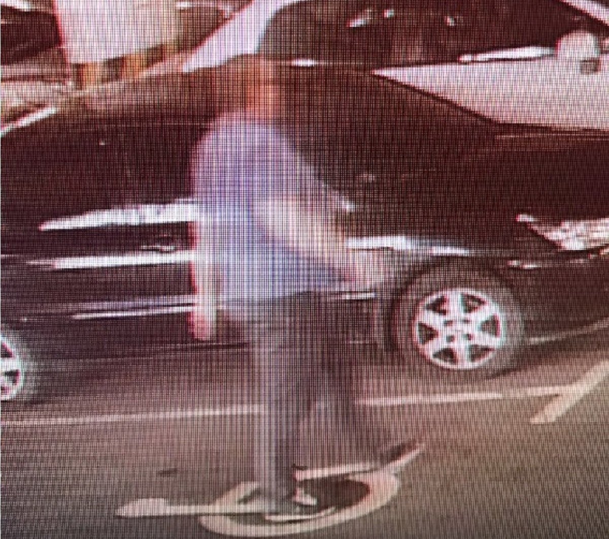 Полиция установила, что к похищению причастны киевляне 1972 и 1979 года рождения Полиция установила, что к похищению причастны киевляне 1972 и 1979 года рождения