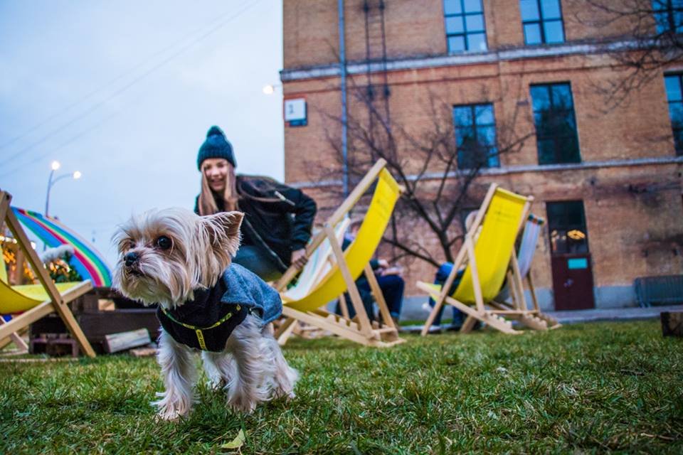 Еще один любитель барбекю Еще один любитель барбекю