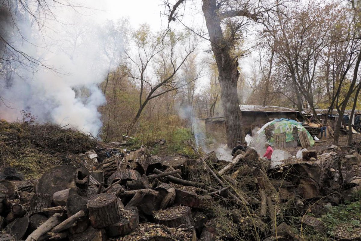 Работники пляжа сами пытались ликвидировать возгорание