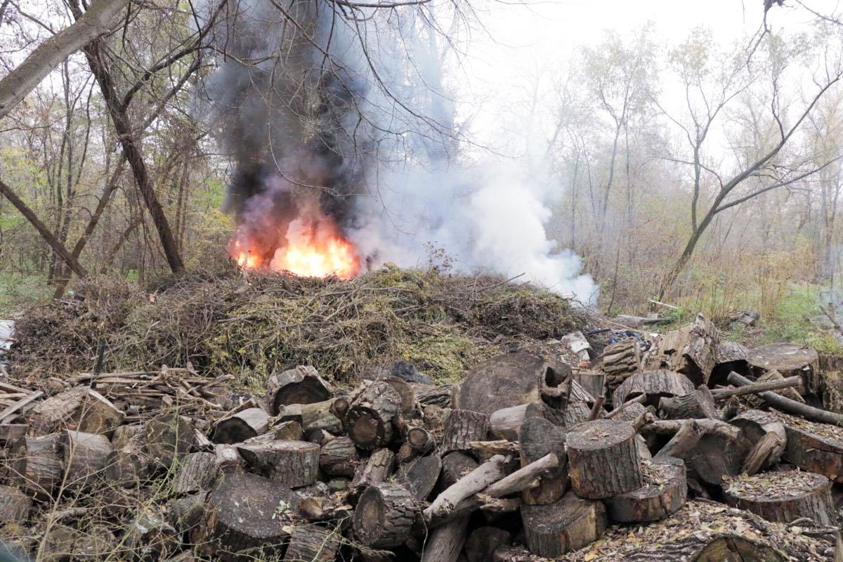 Под ветками оказались шины и огонь разгорелся сильнее