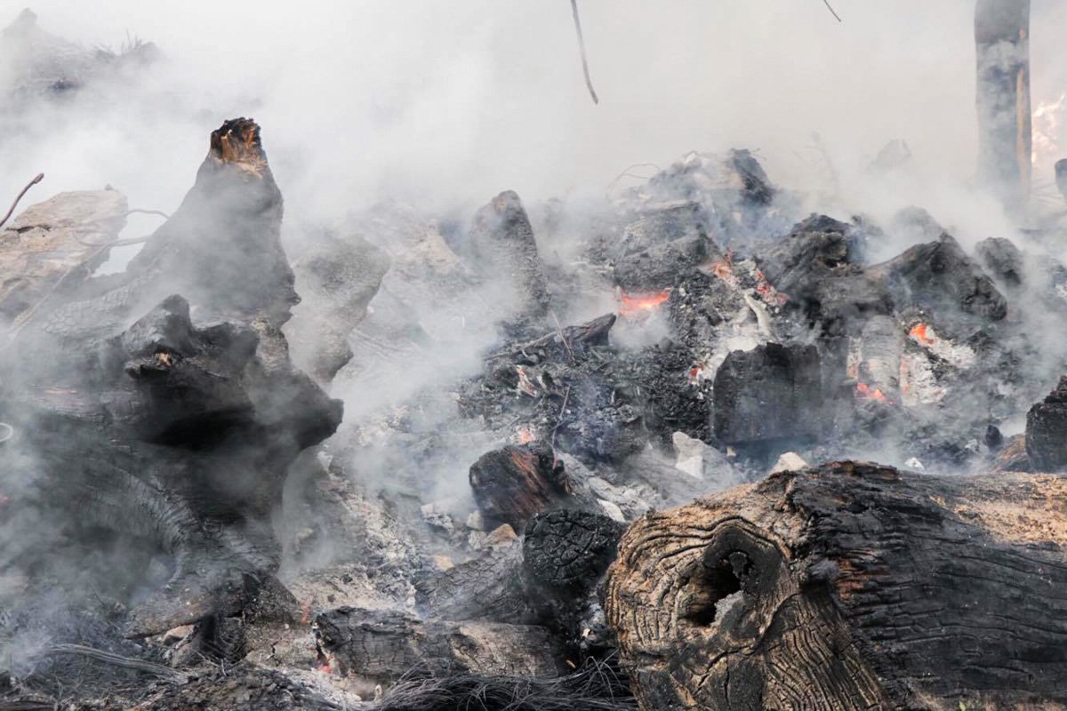 Возгорание удалось ликвидировать и никто не пострадал