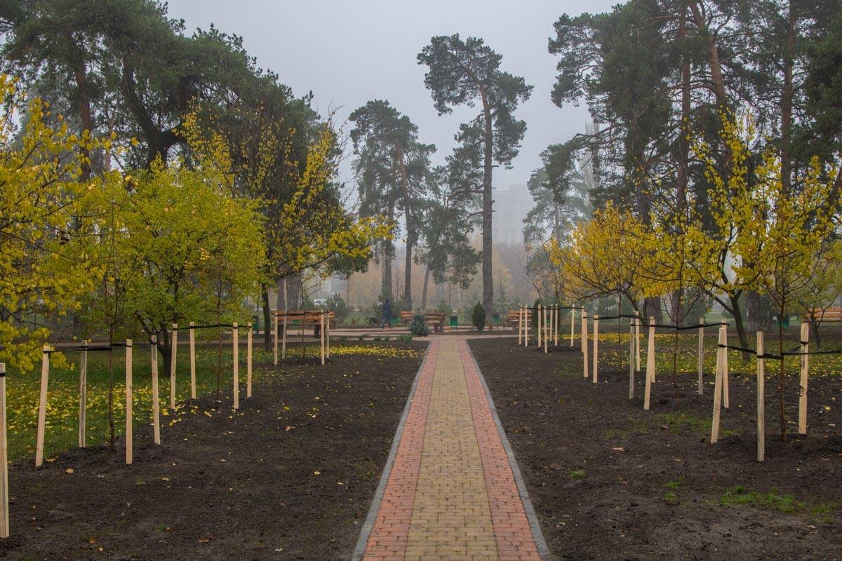 В парке посадили 32 новые дерева В парке посадили 32 новые дерева