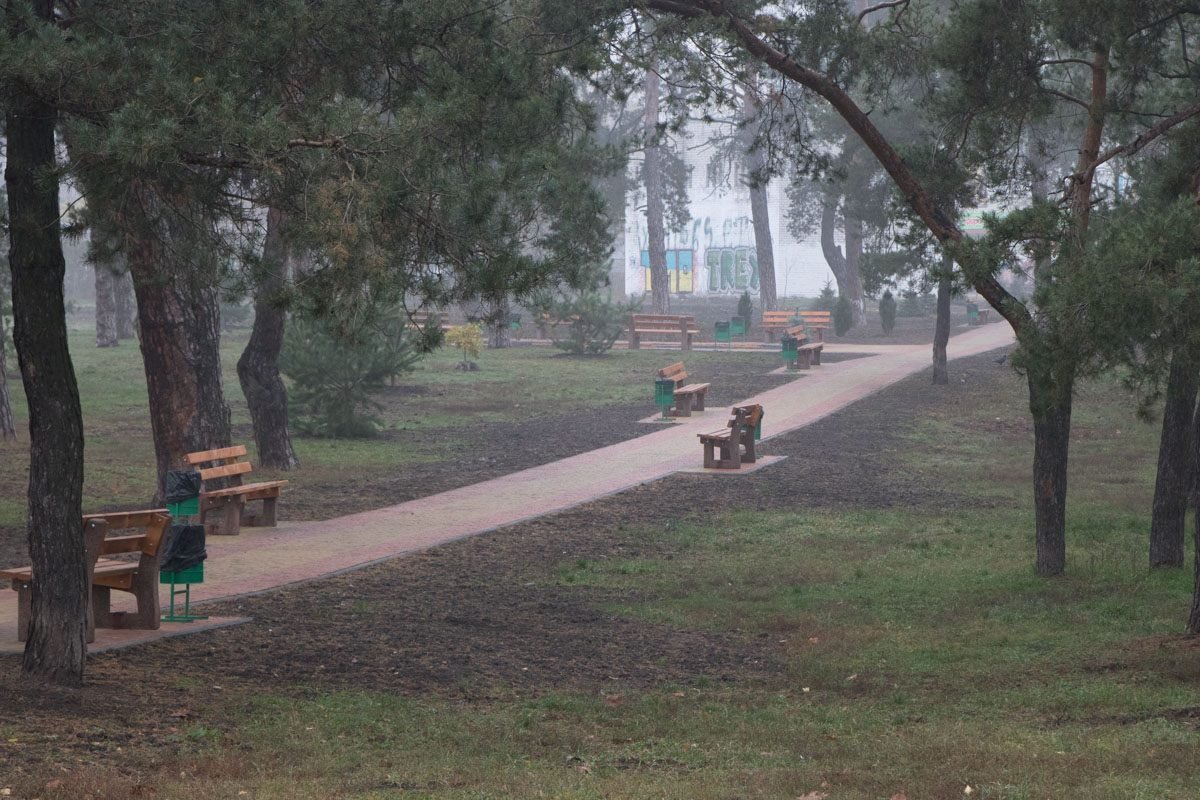 В парке парка не многолюдно В парке парка не многолюдно