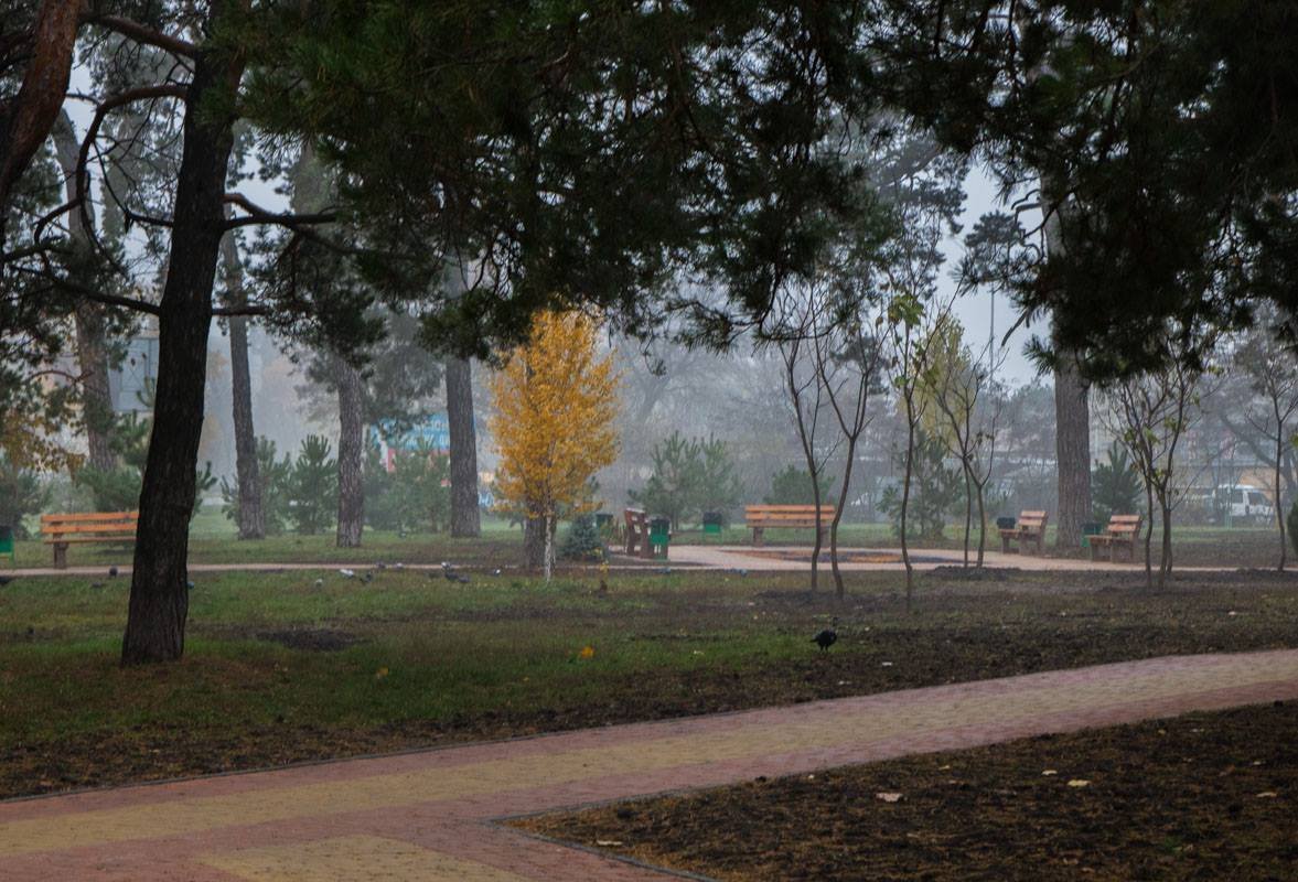 Обновленную территорию уже облюбовали голуби Обновленную территорию уже облюбовали голуби