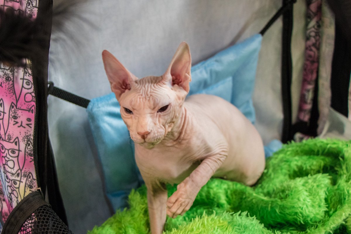 Записалась на ноготочки