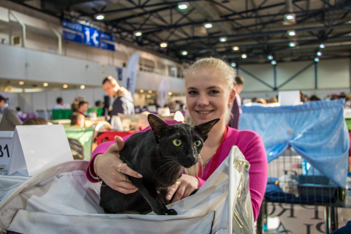 Я пришел сюда поспать и ушатать тебя. Как видишь, я уже поспал