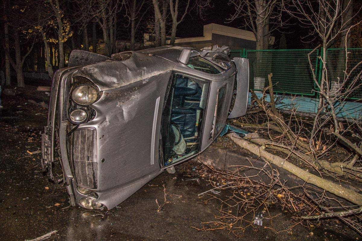 В результате аварии дерево упало В результате аварии дерево упало