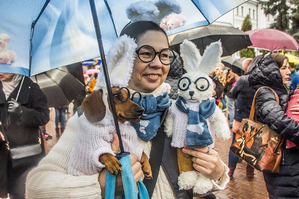 семья зайцев