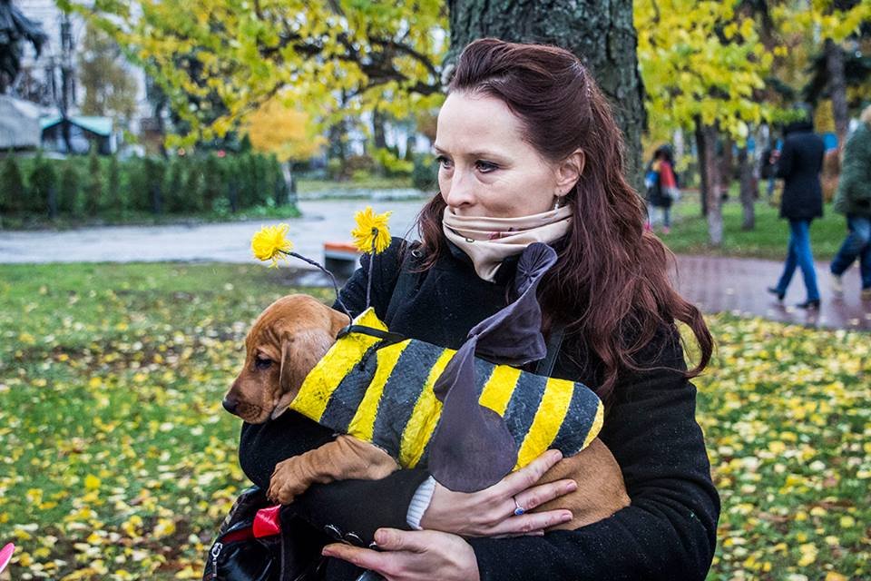 была на празднике и такса-пчела