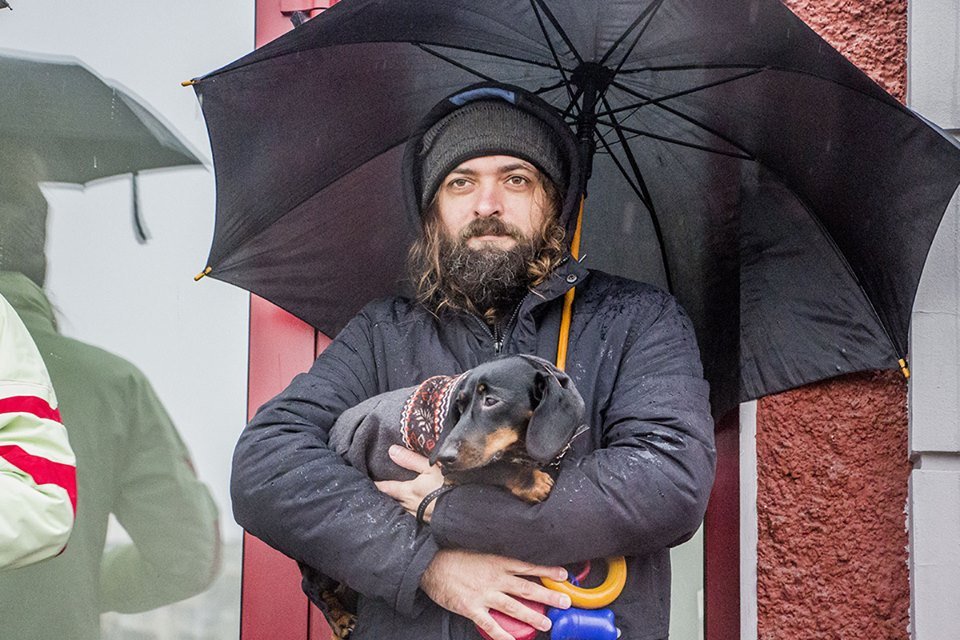 Домашних любимцев прятали от дождя и снега