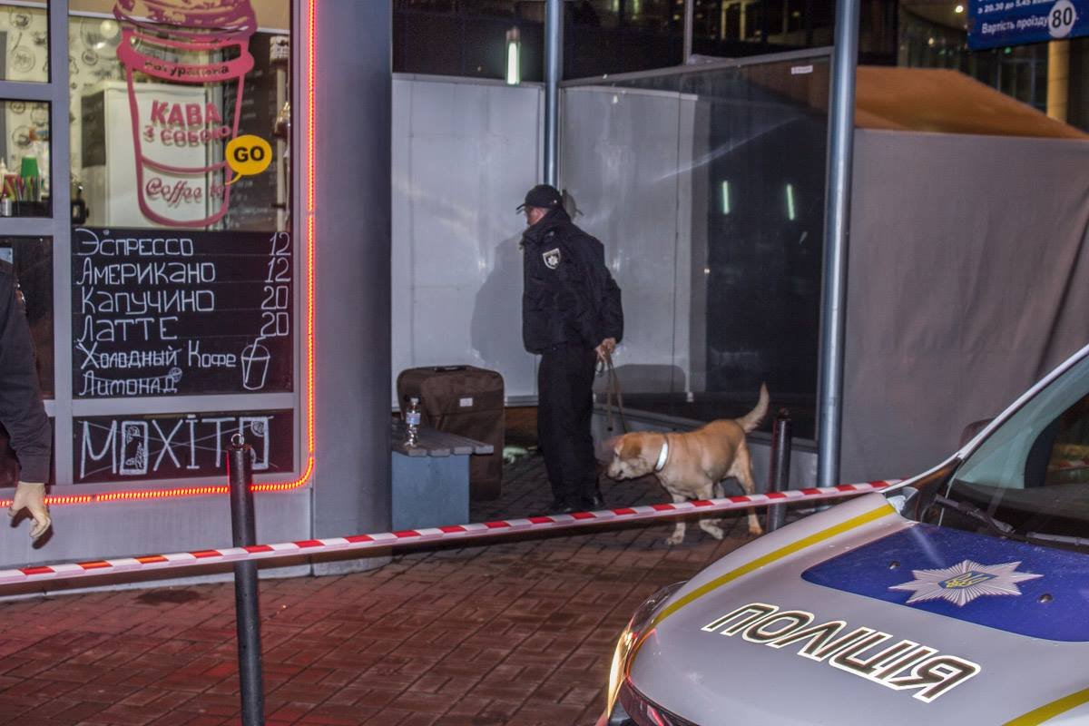 На место инцидента прибыли взрывотехники с собаками На место инцидента прибыли взрывотехники с собаками