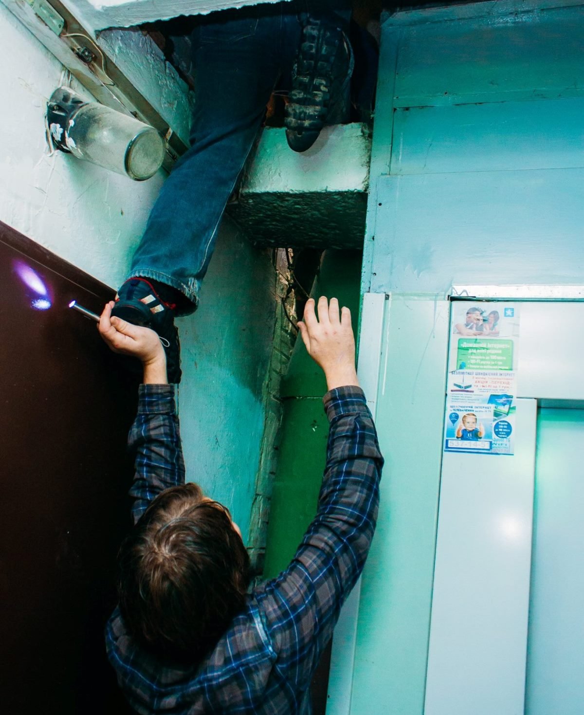 Процесс спасения животного Процесс спасения животного