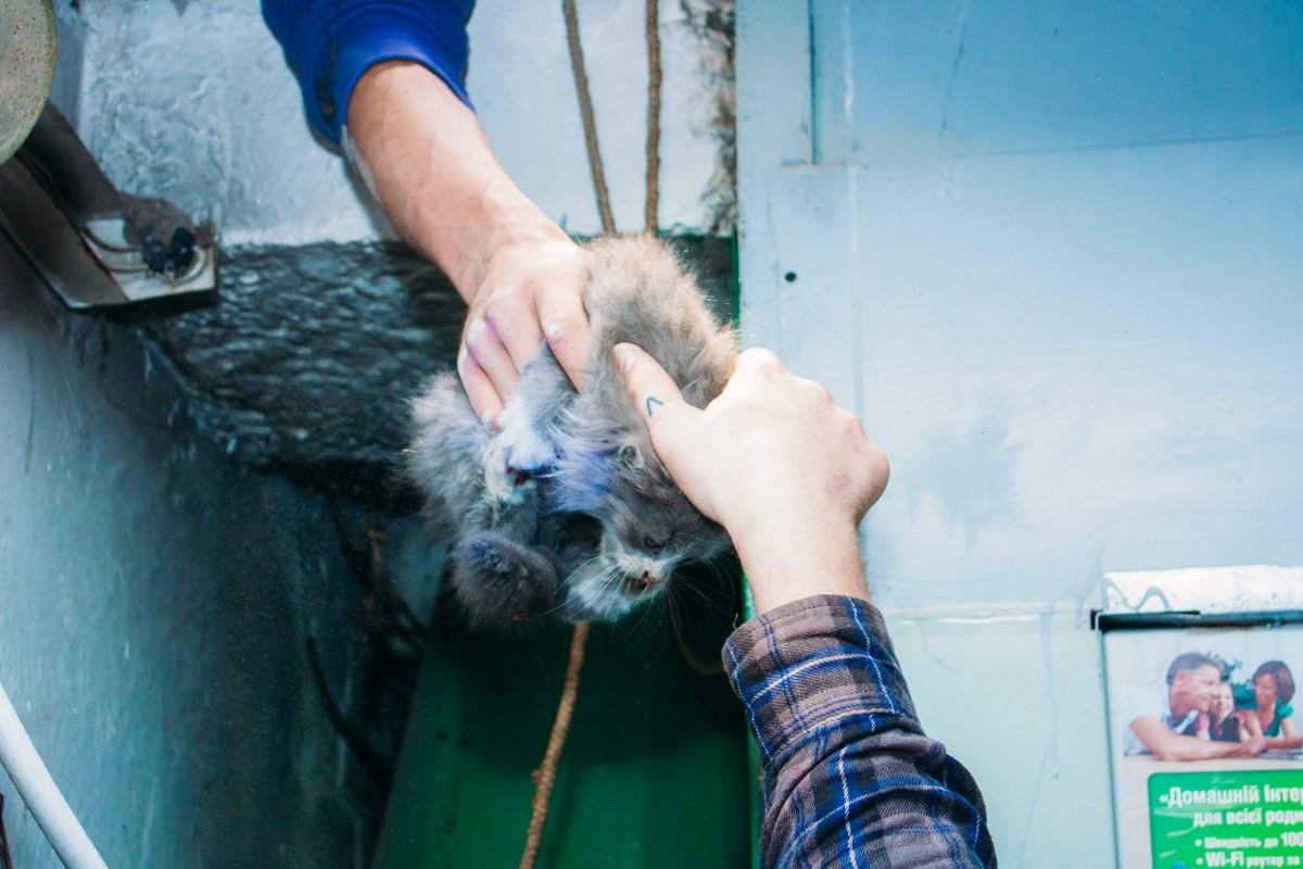 Малыш спасен Малыш спасен