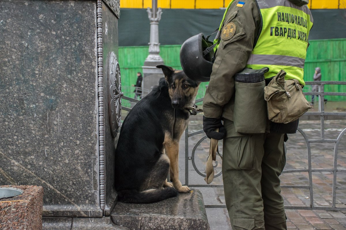 В центре Киева также патрулируют военнослужащие с собаками