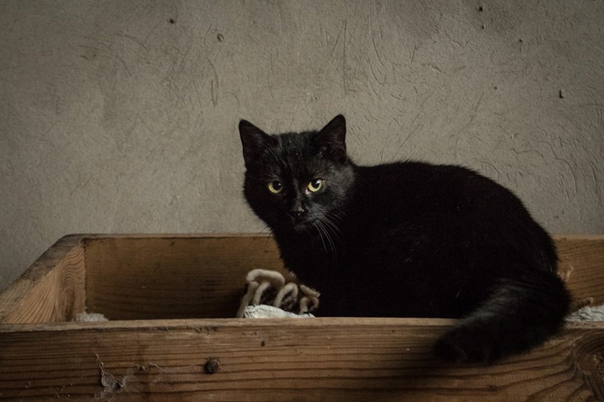 В Котогородке будут благодарны за любую финансовую помощь