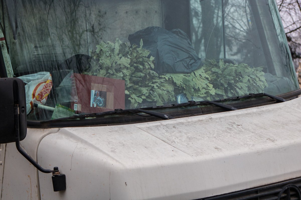 Там даже дают настоящие банные веники Там даже дают настоящие банные веники