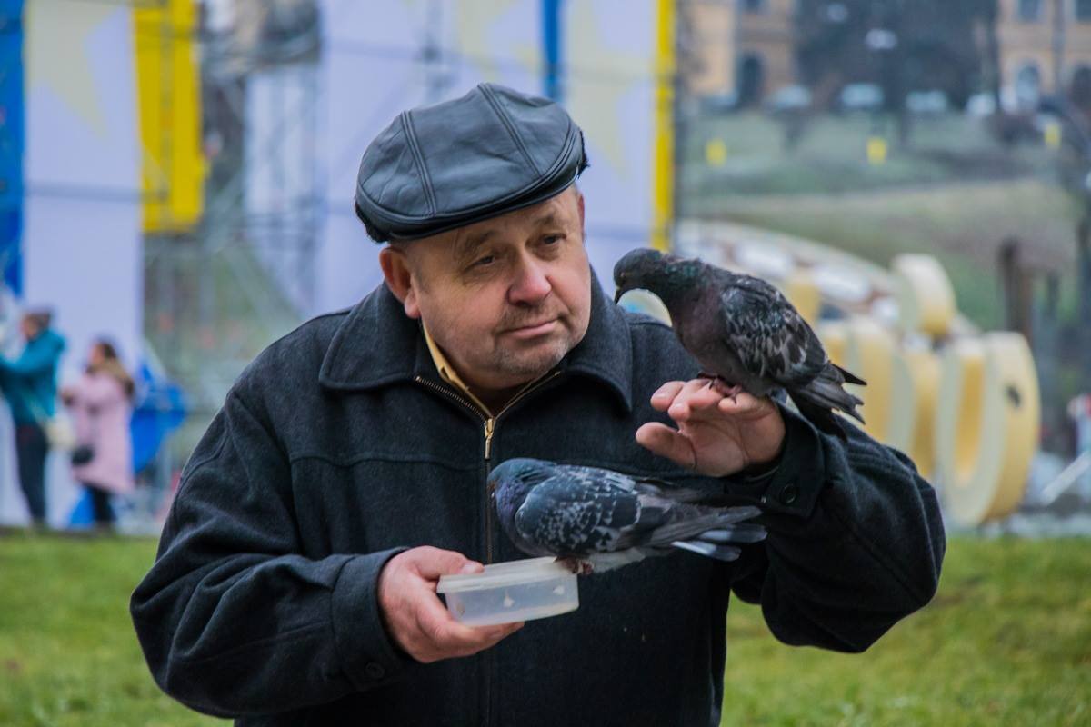 Пернатые друзья Пернатые друзья