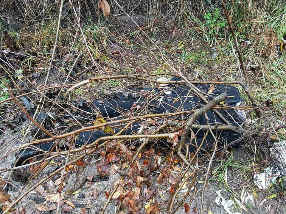 В Киеве на Осокорках нашли обезглавленное тело мужчины в деловом костюме