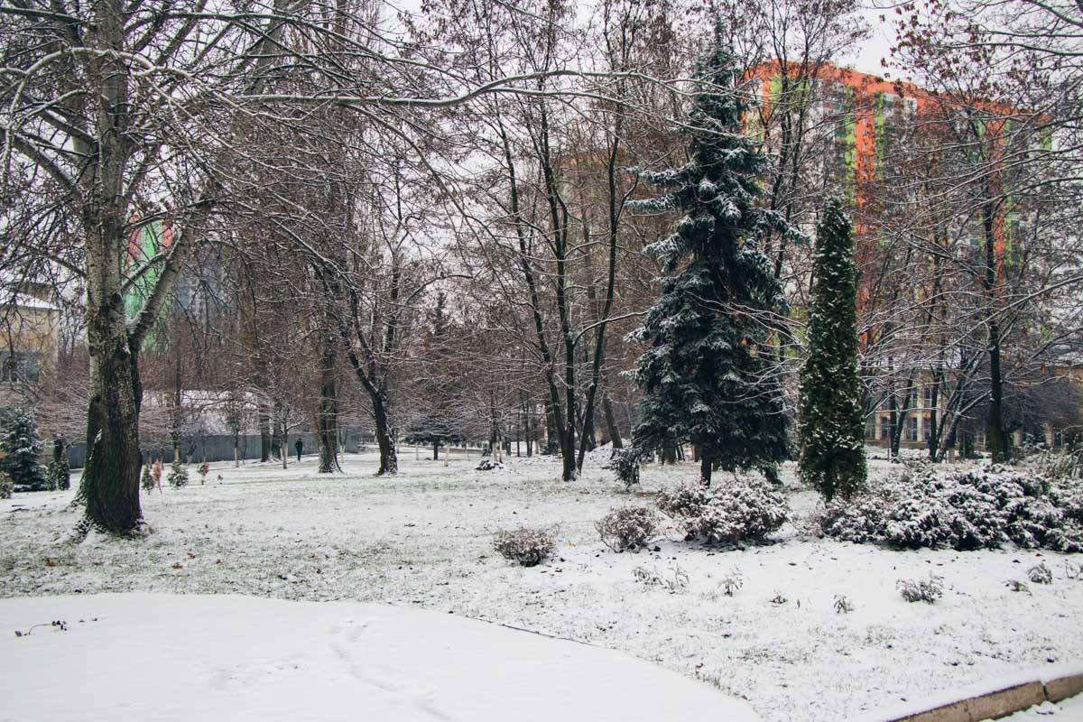 Парки укрылись снежным одеялом