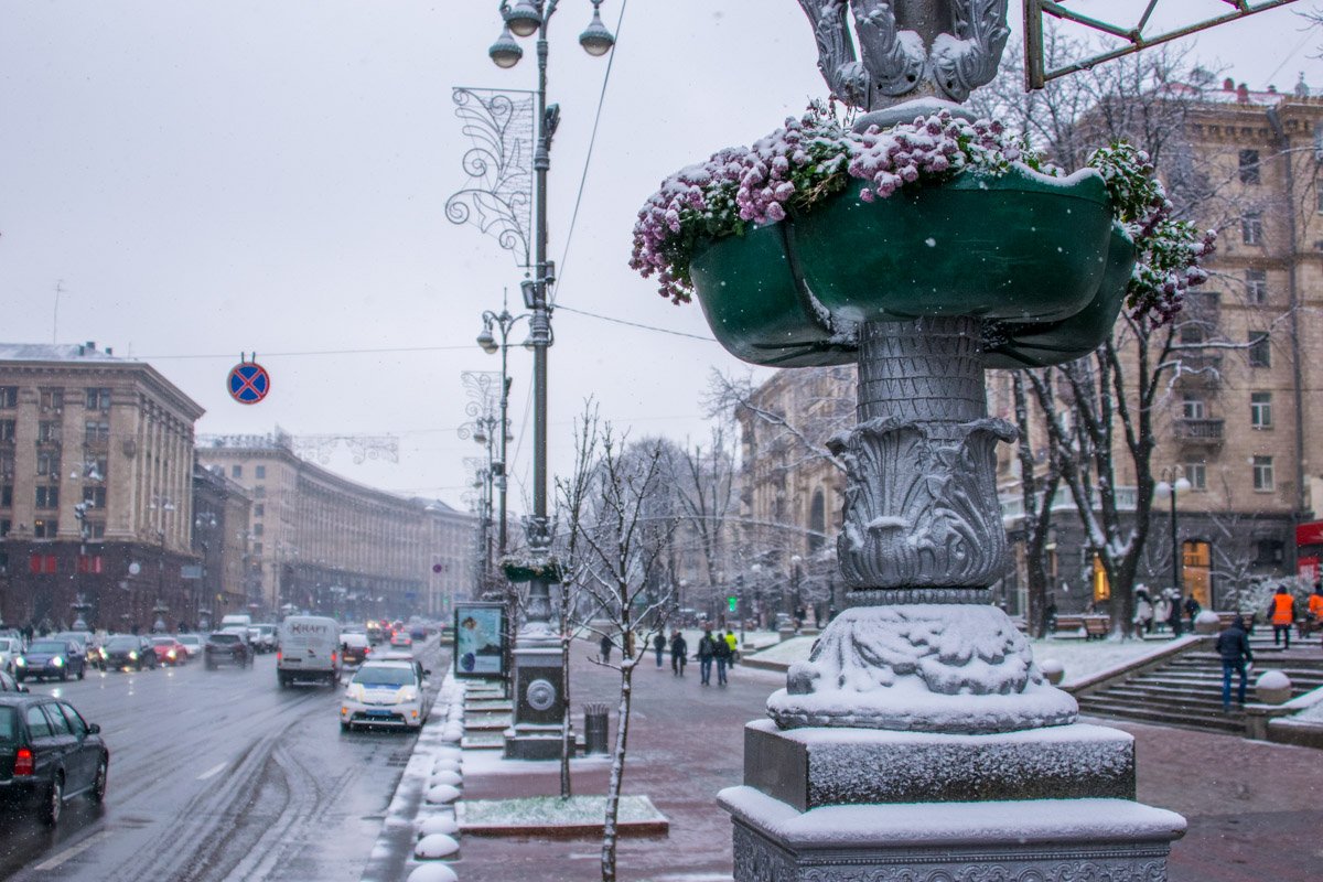 Заснеженные цветы 