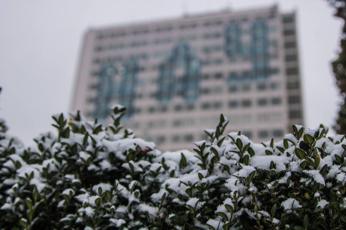 Пушистые снежинки на зеленых листьях