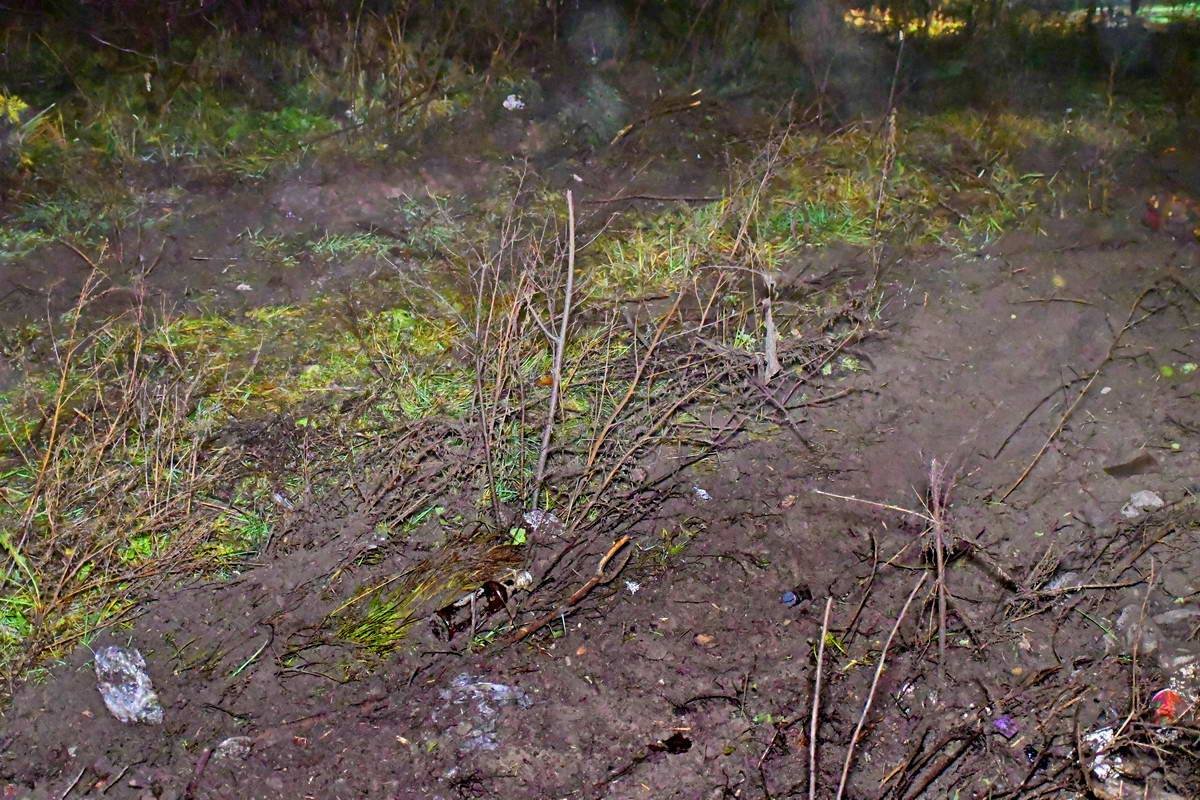 Водитель не остановился, выехал на дорогу и скрылся Водитель не остановился, выехал на дорогу и скрылся